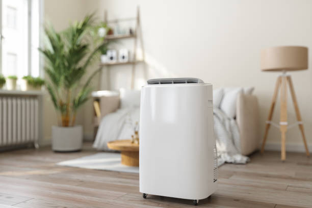 Best Ductless HVAC Repair  in Spring Lake, MI